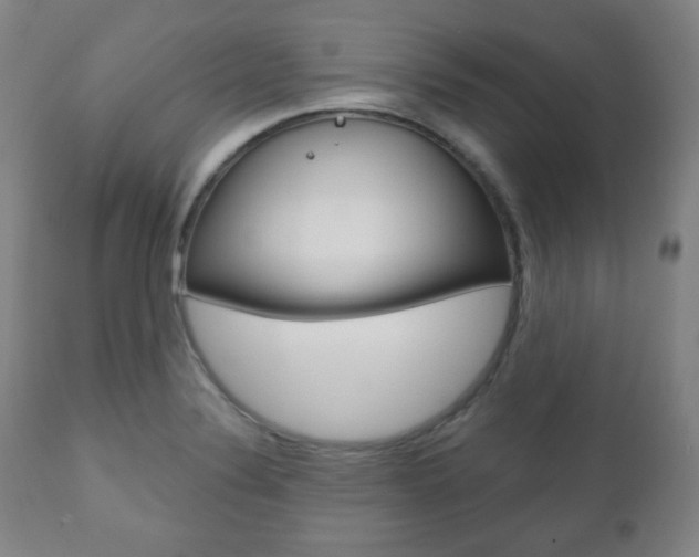 X0000110861324200906180936