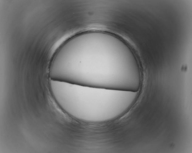 X0000110861325200906180936