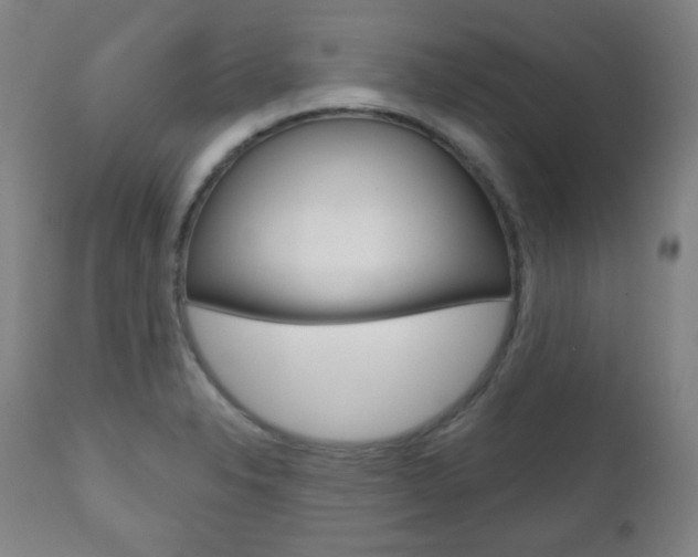 X0000110861326200906180936