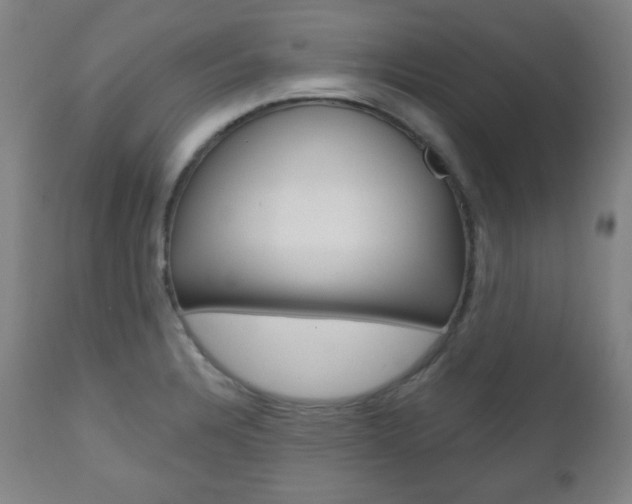 X0000110861328200906180936