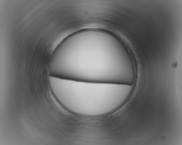 X0000110861329200906180936