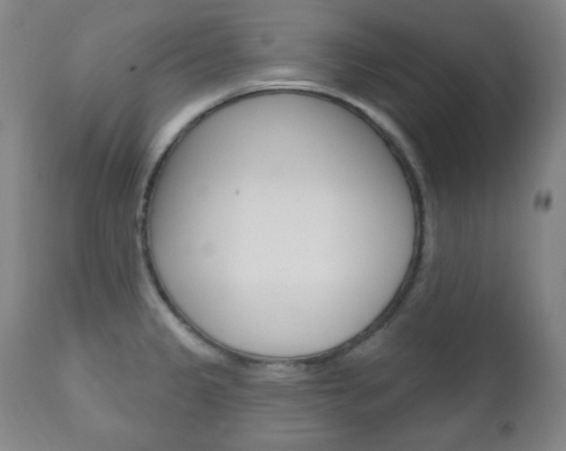 X0000110861333200906180936