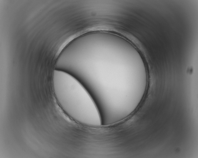 X0000110861337200906180936