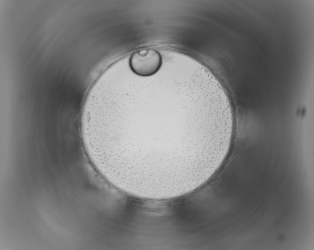 X0000110861338200906180936