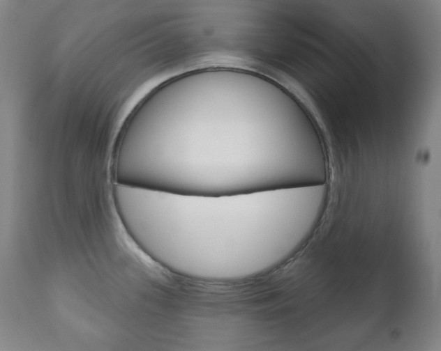 X0000110861339200906180936