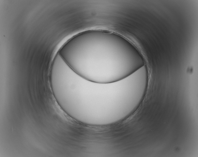 X0000110861340200906180936