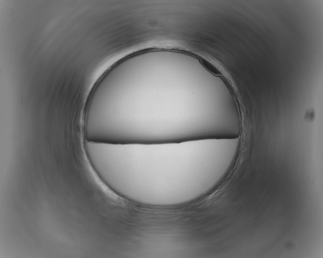 X0000110861343200906180936