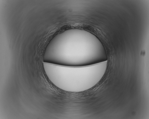 X0000110861345200906180935