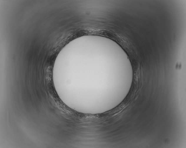 X0000110861346200906180935