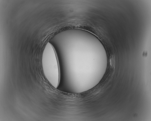 X0000110861347200906180935