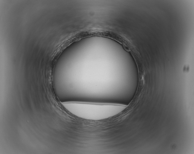 X0000110861348200906180935