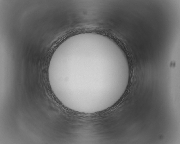 X0000110861349200906180935