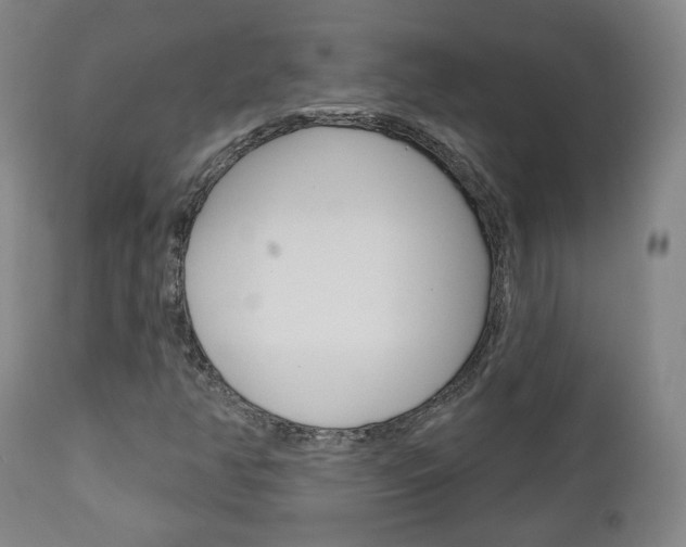 X0000110861350200906180935