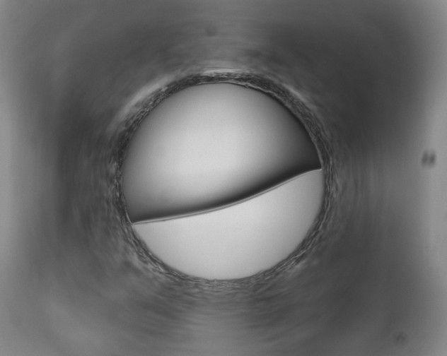 X0000110861351200906180935