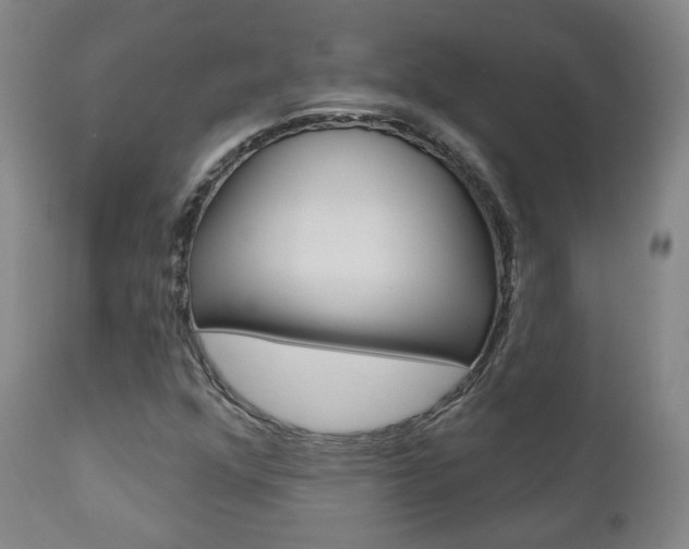 X0000110861352200906180935