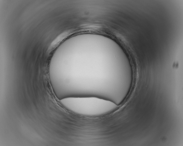 X0000110861354200906180935