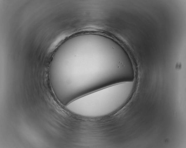 X0000110861355200906180935