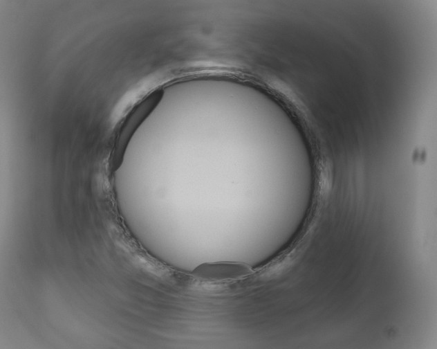 X0000110861357200906180935