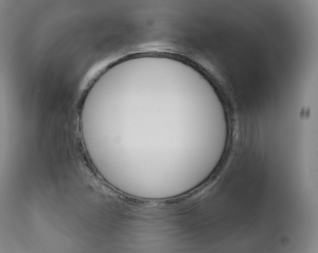 X0000110861358200906180935