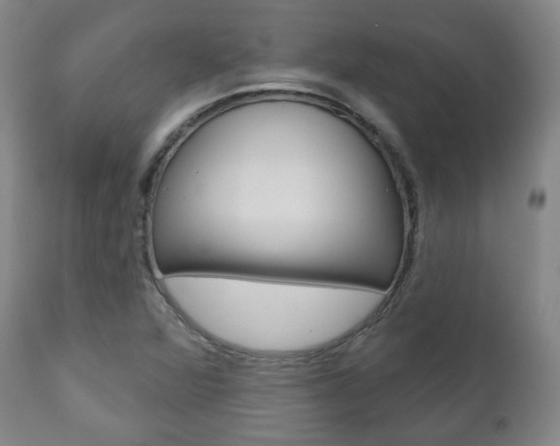 X0000110861360200906180935
