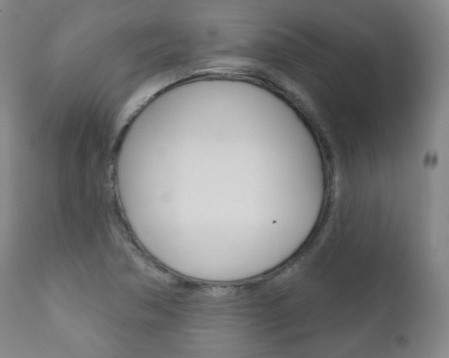 X0000110861362200906180935