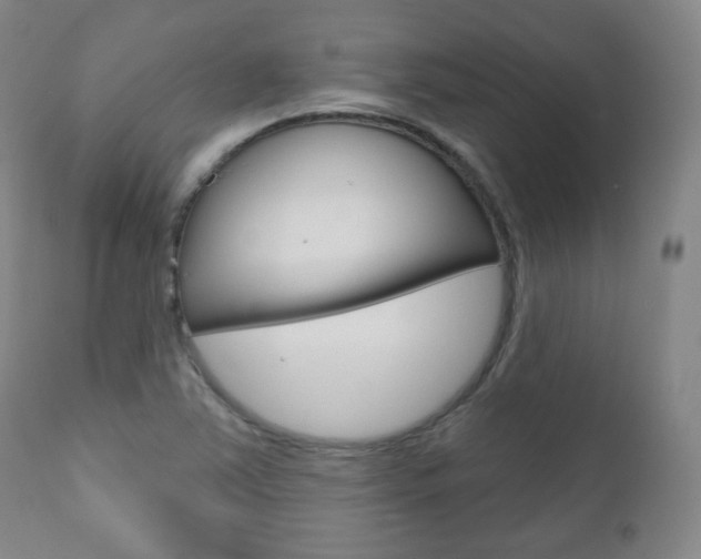 X0000110861363200906180935