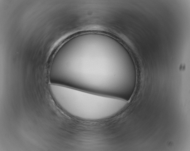 X0000110861364200906180935