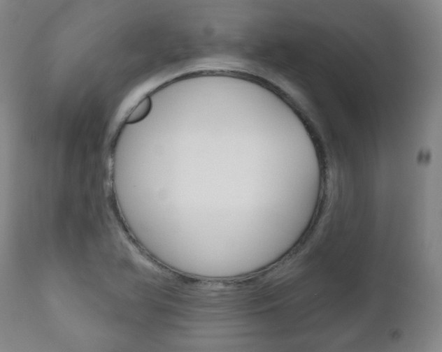 X0000110861366200906180935