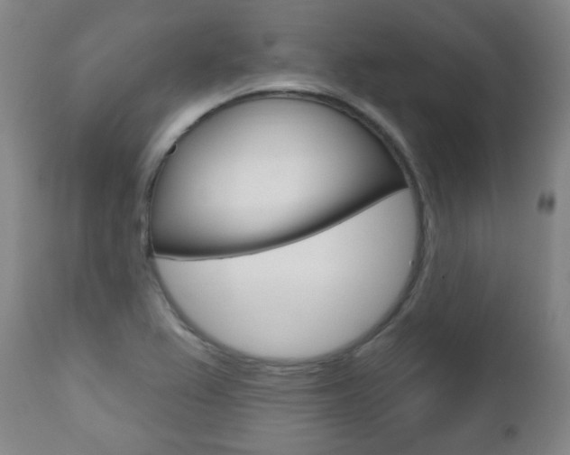 X0000110861367200906180935