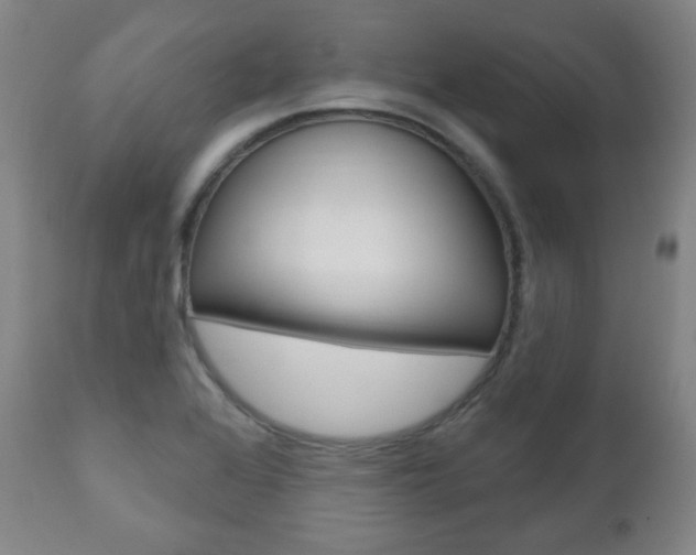 X0000110861368200906180935