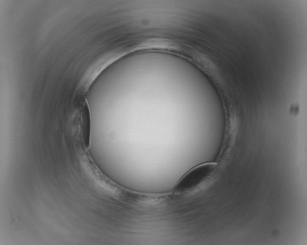 X0000110861369200906180935