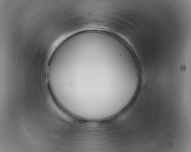 X0000110861371200906180935