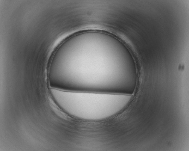 X0000110861372200906180935