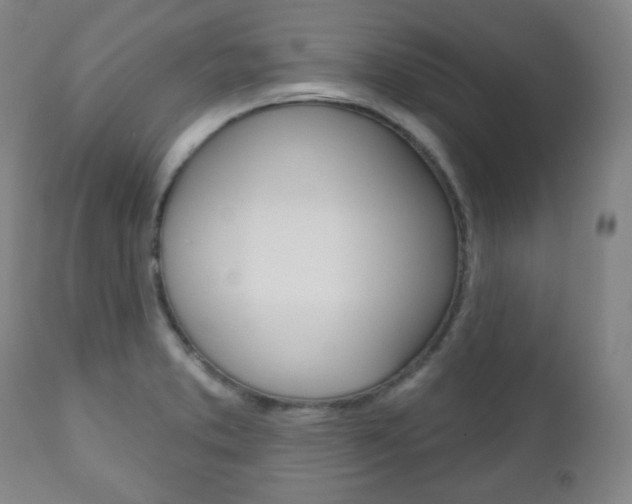 X0000110861373200906180935