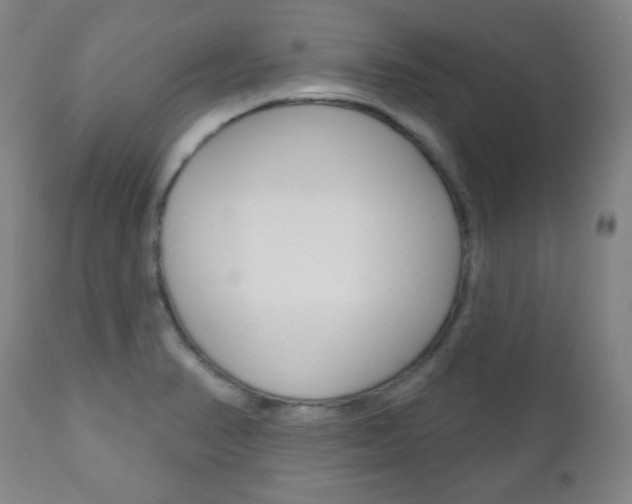 X0000110861374200906180935