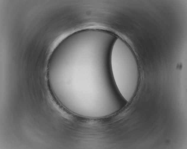 X0000110861375200906180935