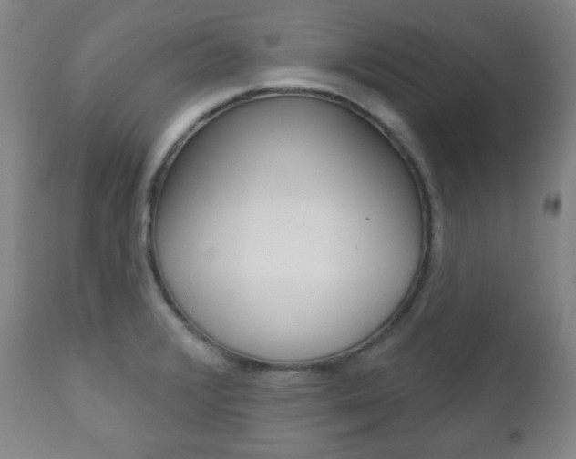 X0000110861376200906180935