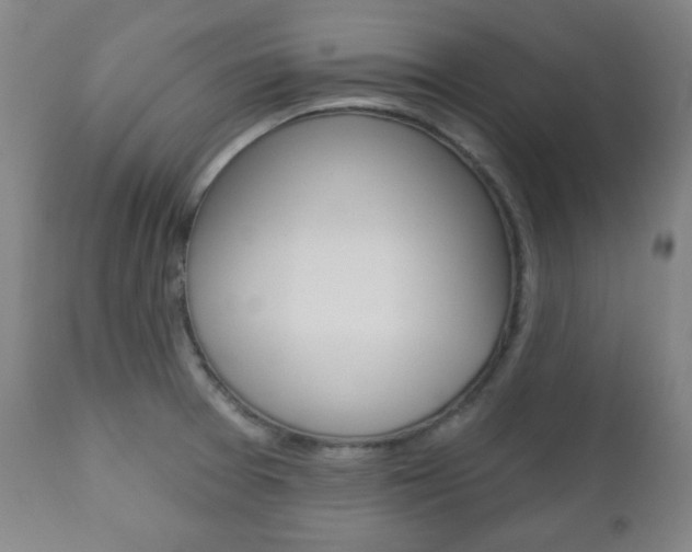 X0000110861377200906180935