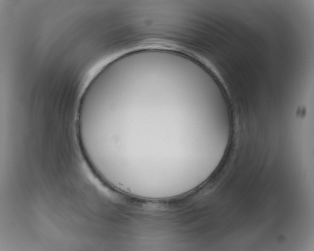 X0000110861379200906180935