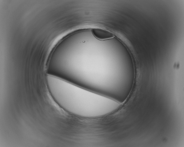 X0000110861380200906180935