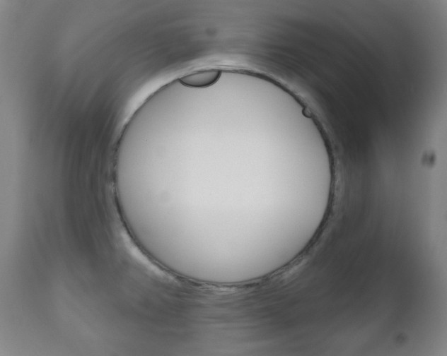 X0000110861382200906180935