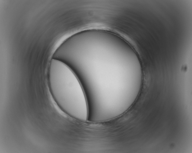 X0000110861383200906180935