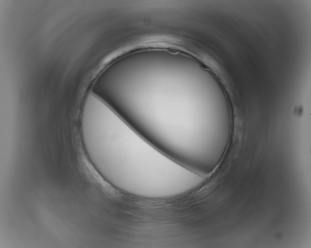 X0000110861384200906180935