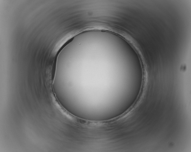 X0000110861385200906180935