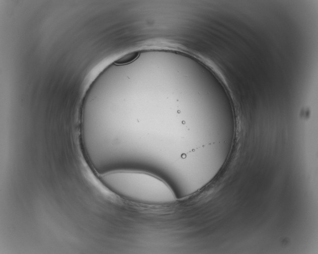 X0000110861387200906180935