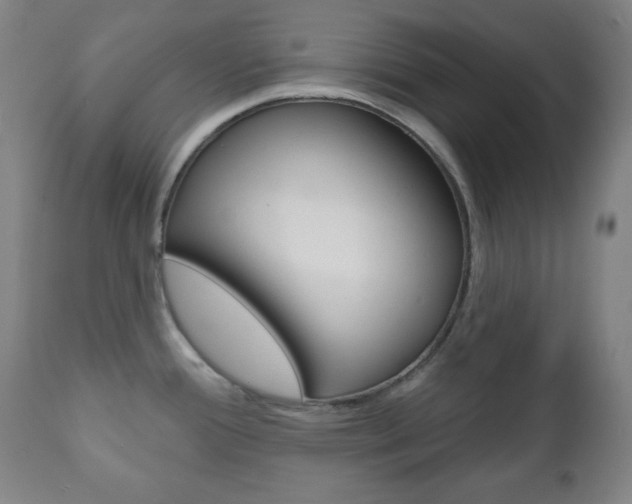 X0000110861388200906180935