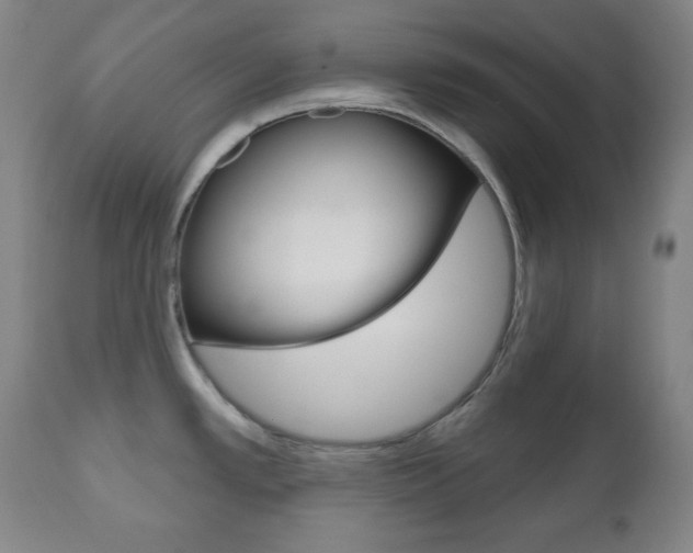 X0000110861389200906180935