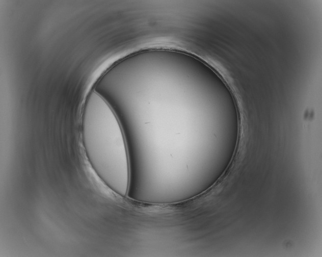 X0000110861392200906180935