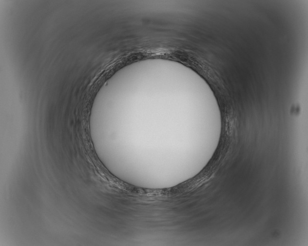 X0000110861393200906180934