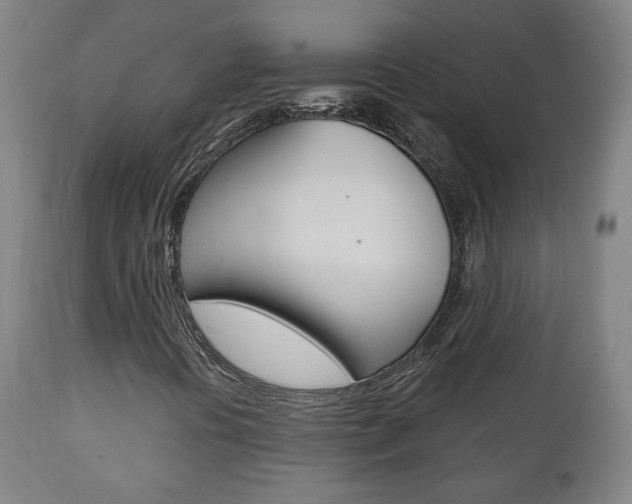 X0000110861394200906180934